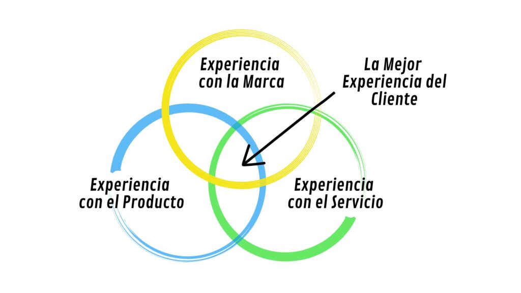 Experiencia del Cliente / Servicio al Cliente
